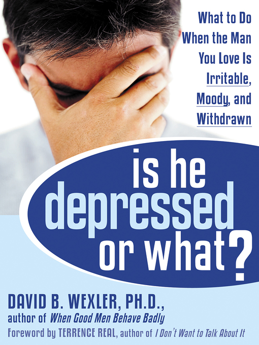Title details for Is He Depressed or What? by David B. Wexler - Available